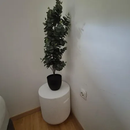 דירה Samba With Private Pool *