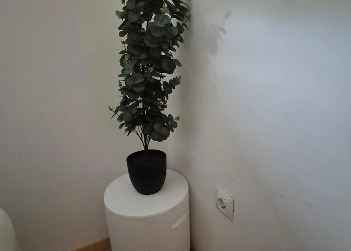 Appartement Samba With Private Pool *